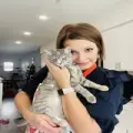 Holly