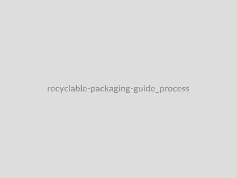 Recycling Guide Process